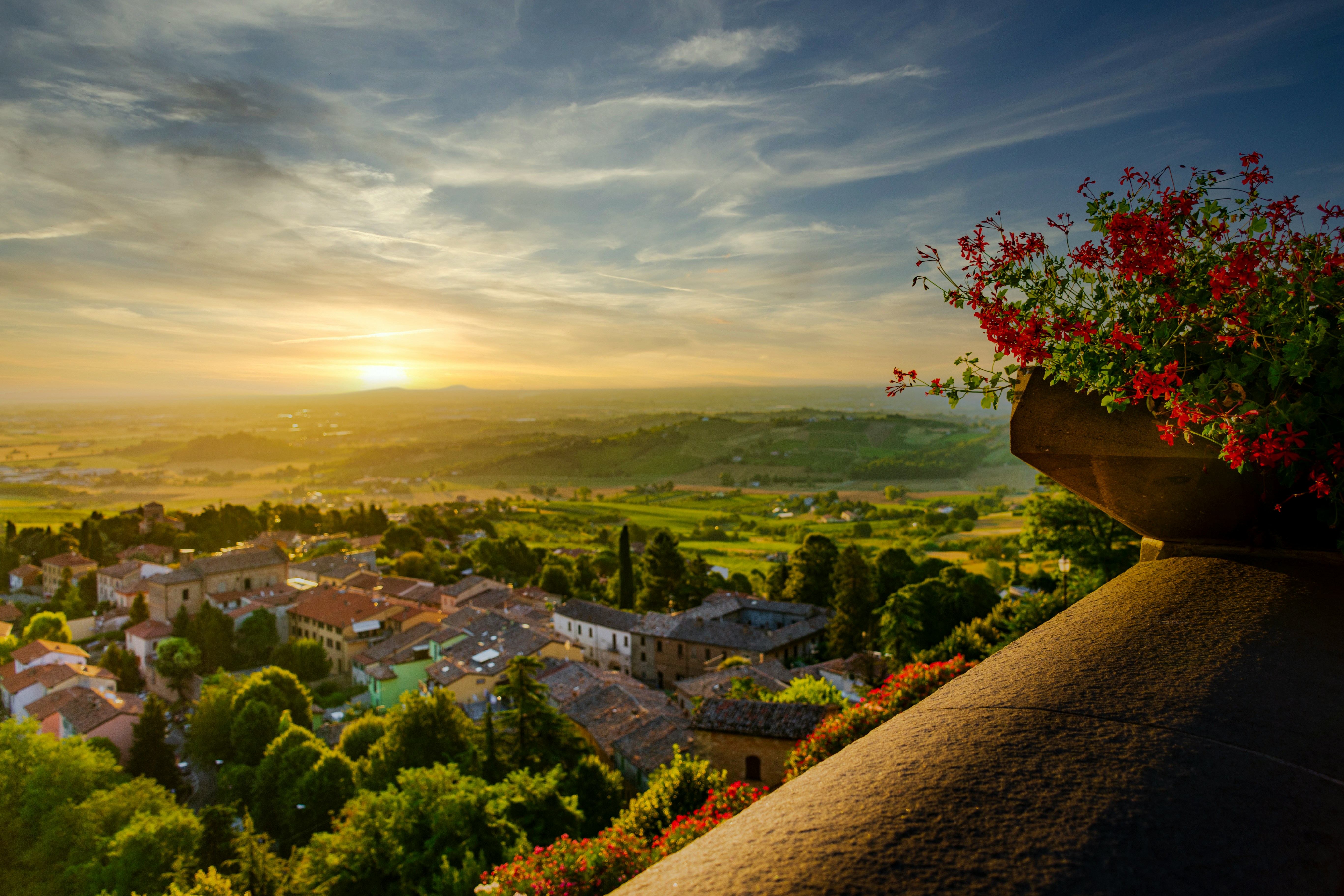 Featured Image